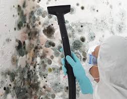 Best Commercial Mold Inspection  in Borger, TX